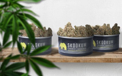 Get Skookum: A Comprehensive Guide to Canadian Craft Cannabis