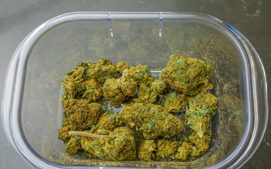 Cannabis buds stored in a plastic container.